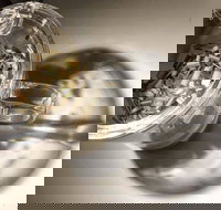 T Totaler - Newtown - Tourism Noosa