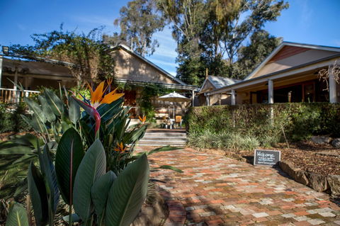 Briar Ridge Vineyard - Tourism Noosa 0