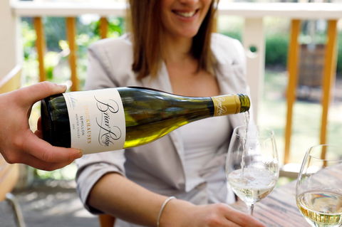 Briar Ridge Vineyard - Tourism Noosa 2