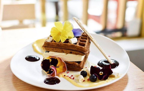 Down The Rabbit Hole - Tourism Noosa 0