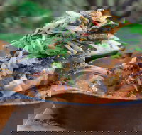 The Studio Bistro  Gallery - Tourism Noosa