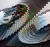 Chotto Matte - Tourism Noosa