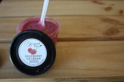 Springwood Farm Berries - Tourism Noosa 2