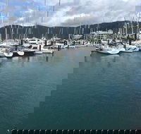 Whitsunday Sailing Club - Tourism Noosa