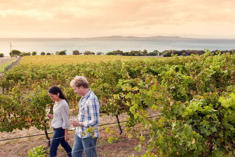 Boston Bay Wines - Tourism Noosa 0
