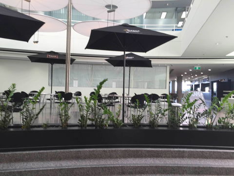 D Cafe - Tourism Noosa 0