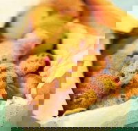 Mrs. Fields - Cockburn Gateway - Success - Tourism Noosa