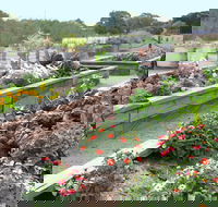 The Farmer's Place - Tourism Noosa