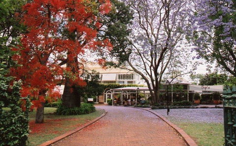 Gip's Restaurant - Tourism Noosa 11