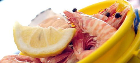 On The Inlet Seafood Restaurant - Tourism Noosa 1