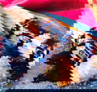 Donut King - Sunshine - Tourism Noosa