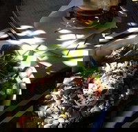 Good Cartel - Tourism Noosa