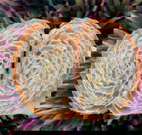 La Bouche - Tourism Noosa