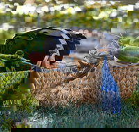 Rowlee Wines Picnic Hamper - Tourism Noosa