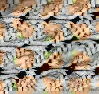 Sushi Pia - Tourism Noosa