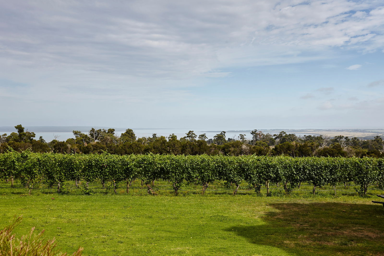 Jam Jerrup VIC Tourism Noosa