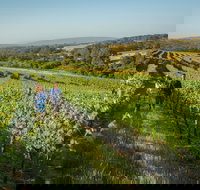 Wills Domain - Tourism Noosa