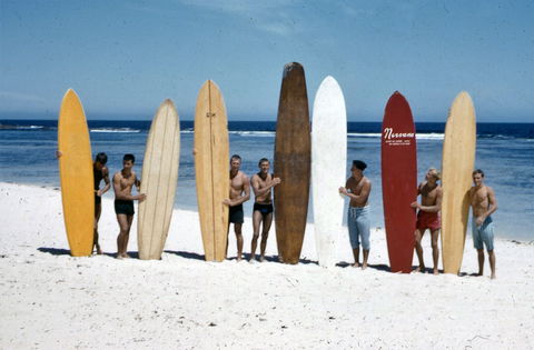 Aravina Estate - Tourism Noosa 2