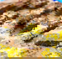 Charlie's Raw Squeeze - Greenslopes - Tourism Noosa