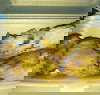 Chop Chop - Tourism Noosa