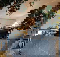 Pinkie - Tourism Noosa