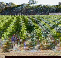 Weathercraft Wines - Tourism Noosa