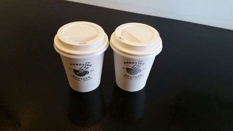 Annoying Brother - Tourism Noosa 0