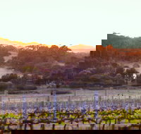 Howling Wolves Wines - Tourism Noosa