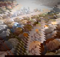 Pompadours Chocolate House - Tourism Noosa