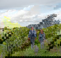 Ross Hill Wines - Tourism Noosa