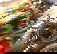 Merimbula Wharf - Tourism Noosa