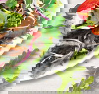 Sumo Salad - South Brisbane - Tourism Noosa