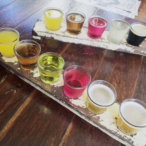 Bush Shack Brewery - Tourism Noosa 0