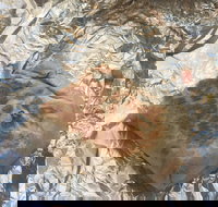 Mad Mex Fresh Mexican Grill - Tourism Noosa