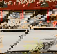 MOJOs in the Marketplace - Tourism Noosa