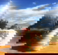 Fork it Farm - Tourism Noosa