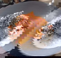 Jimmy Fox - Tourism Noosa