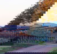 Rowlee Wines - Tourism Noosa