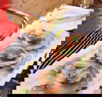 Sirocco Noosa - Tourism Noosa