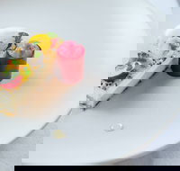 Old England Hotel - Tourism Noosa