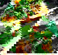 The Local Shed Cafe - Tourism Noosa