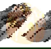 Wendy's - Moore Park - Tourism Noosa