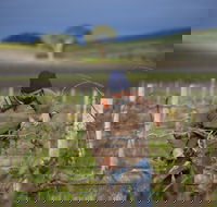 Kurtz Family Vineyards - Tourism Noosa