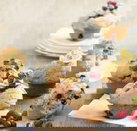 Modern Hunter - Tourism Noosa