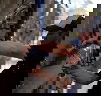 Wild Hop Brewing Company - Tourism Noosa