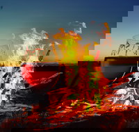 Black Dog Brewery - Tourism Noosa