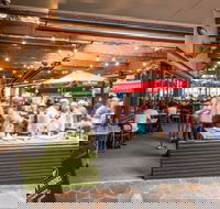 Henry  The Fox - Tourism Noosa