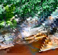 Phoenix  Co - Tourism Noosa