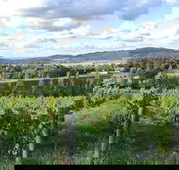 Sassy Wines - Tourism Noosa