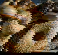 Criterion Tavern - Tourism Noosa